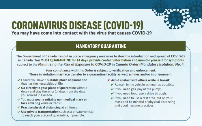 A poster containing some of the public health guidelines related to COVID-19 published by Canada’s Public Health Agency.