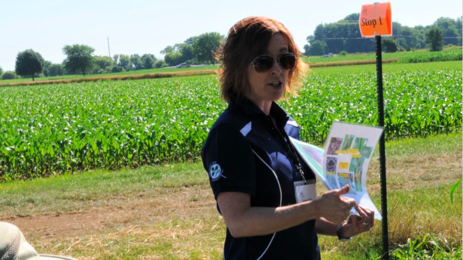 Tracey Baute is an entomologist with the Ontario Ministry of Agriculture, Food and Rural Affairs